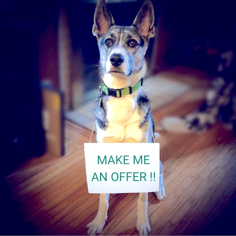 Don’t be afraid to Make An OFFER! ♥️